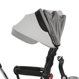 Lorelli Revel Tricycle features