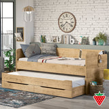 MOCHA  Studio bunk Bed