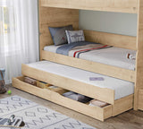 MOCHA  Studio bunk Bed