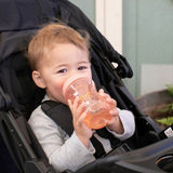 Advanced cup 12 months