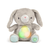 Ingenuity Heart to Hugs Sylvi Soothing Plush Toy, Age 0M+