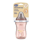 Advanced cup 12 months