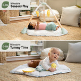 Tummy-to-Toes 6-in-1 Milestone Center, For Ages 0-48 Months