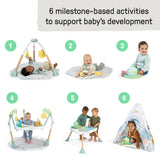 Tummy-to-Toes 6-in-1 Milestone Center, For Ages 0-48 Months