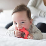 Flexees Fox, Soft 100% Silicone Baby Teether, BPA Free, 3m+