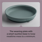 Tommee Tippee Easi Stick Silicone Plate