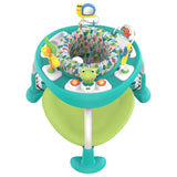 Bounce Bounce Baby Activity Jumper - Playful Pond