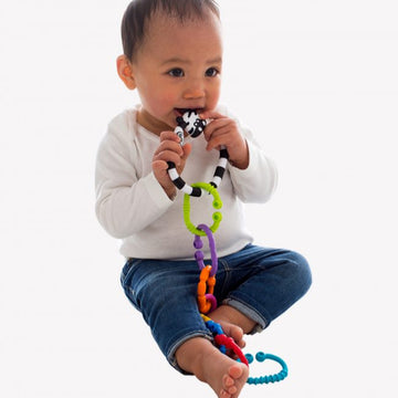 Zebra 9 Links