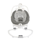 Meet Serina 2in1 Swing