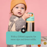 Tommee Tippee Stainless Steel Insulated Bottle Flask | 500ml
