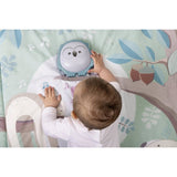 2in1 Owly Playmat