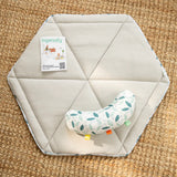 Tummy-to-Toes 6-in-1 Milestone Center, For Ages 0-48 Months