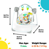 Bright Starts Playful Paradise Portable Swing, Unisex