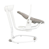 Meet Serina 2in1 Swing