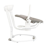 Meet Serina 2in1 Swing