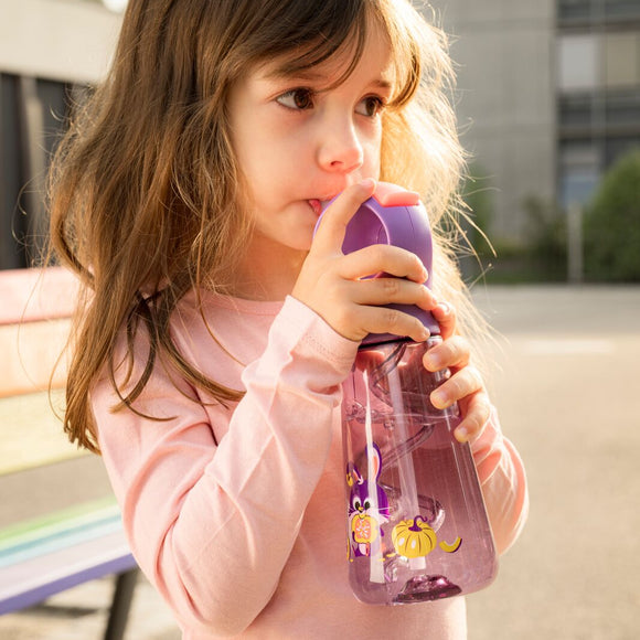 Picnic Miniz Water Bottle 500 ml