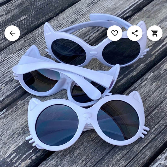 gray cat sunglasses
