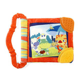 Teethe & Read Toy