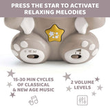 Rainbow bear projector